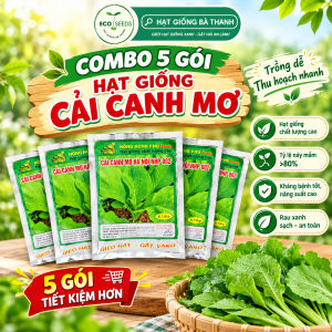 [EcoSeeds] Combo Tiết Kiệm 5 Gói Hạt Giống Cải Canh Mơ Hà Nội (Cải Mơ Cải Canh) - Kháng Bệnh Tốt - Gói 20g