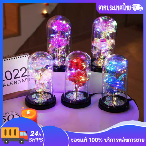 FonKun โดมมีไฟ Led นิรันดร์ ดอกไม้กุหลาบฟอยล์โรแมนติก LED โคมไฟดอก โคมไฟตั้งโต๊ กุหลาบ หลากแบบ ของขวัญทุกเทศกาล ะ ของขวัญปีใหม่