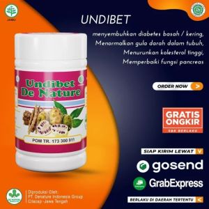 Obat Diabetes Herbal Paling Ampuh - Obat Diabetes Gula Kering - Obat Gula Darah Tinggi Diabetes Melitus Sakit Gula - Undibet De Nature BPOM