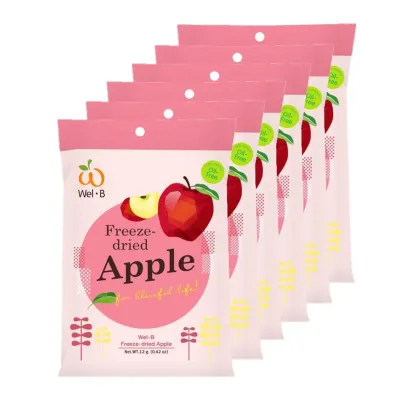 WelB Freeze Dried Fruits in pack of 6 - Apple