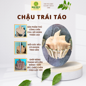 CHẬU TRỒNG LAN HÌNH TRÁI TÁO – GỖ CĂM XE / VÚ SỮA / BALAS CAO CẤP - MAI HUY SINCE 2008