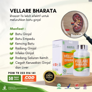 VELLARE BHARATA Obat Herbal Batu Empedu Pemecah Batu Ginjal Empedu Urine Tersendat