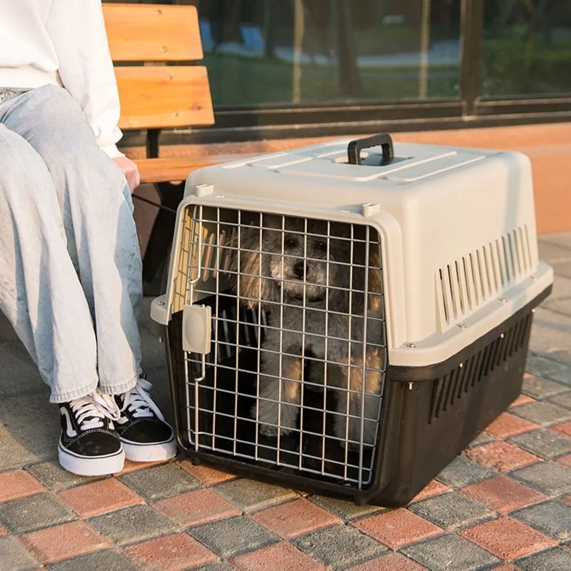 NewProduct discount Pet carrier travel cage dog carrier cat