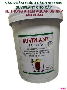 [TẶNG 15V] Phân bón hữu cơ tan chậm BUVIPLANT SIÊU DINH DƯỠNG CHO CÂY CẢNH - GÓI 30v