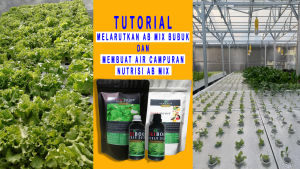 Nutrisi Hidroponik AB Mix Bubuk Buah Premium Organik 1 Liter