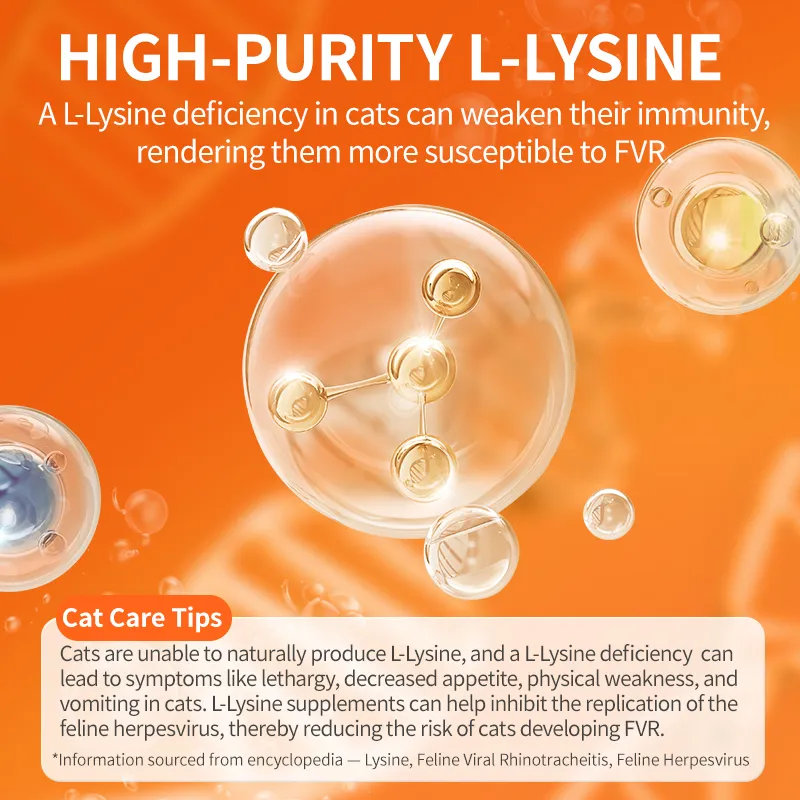 Runny Nose How To Care For A Cat With A Cold PUAINTA L-Lysine For Cat