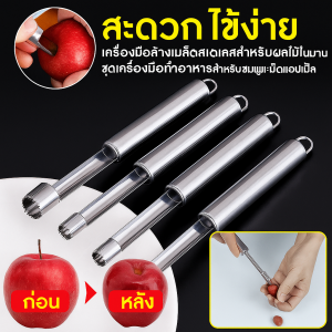 ที่เจาะแกนผลไม้ สแตนเลส ที่เจาะแกนผลไม้ เจาะเม็ด แกนผลไม้ ใช้งานได้หลากหลาย ทนต่อการกัดกร่อน ทําความสะอาดง่าย