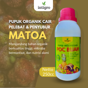 Pupuk Booster Buah Matoa / Pupuk Organik Buah Matoa / Pupuk Booster Matoa / Pupuk Buah Matoa Pelebat