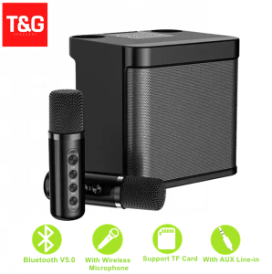 YS-203 3D Stereo Party KTV Portable Bluetooth Multi Function with Dual Wireless Microphone Karaoke Speaker