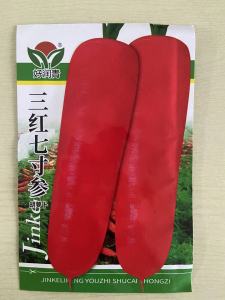 3000seeds Carrots Seeds (High Germination)  Kuroda Carrot Vegetable Seeds - Basic Farm House-A638