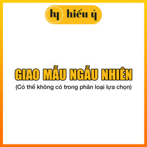 1 CẶP áo gối chần thêu 40x60cm có khóa kéo - ẢNH THẬT | Mùng mền Hiếu Ý