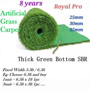 3.3kaki 6.5kaki Premium Aqsa Grass Outdoor Artificial Grass / Karpet Rumput Tiruan Synthethic Turf Murah Grass Carpet Tianyi Hardware