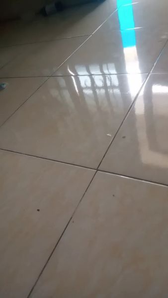 Buyer review video 2