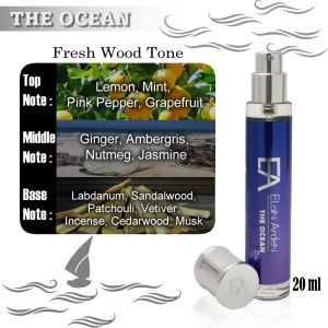 EA Elain Arden Men Perfume 20ml EDP/EDT 4 Unique Luxury Scents Woody Fragrance for Him