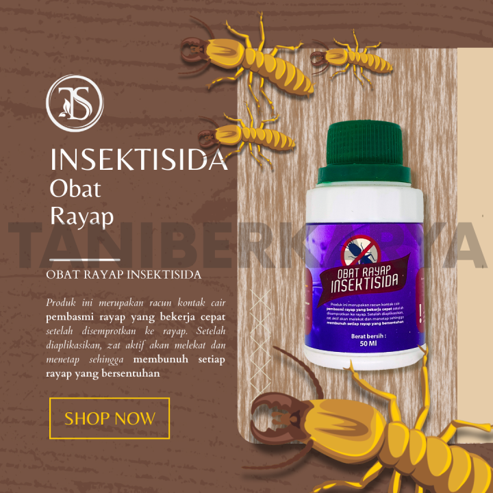 Obat Hama Rayap Dan Pengendalian Rayap, Insektisida Anti Rayap Yang ...