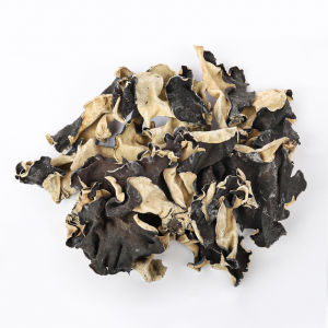 เห็ดหูหนูช้าง มีคุณค่าทางโภชนาการ เป็นธรรมชาติและอร่อย木耳大