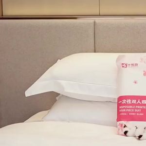 Convenient Travel Bed Sheets Duvet Covers Pillowcases and Bedspreads - Hotel Four-Piece Set for Double Bed Thickened Printed Bedding