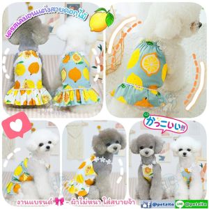 🇹🇭พร้อมส่ง🇹🇭 🌈🌈🌈 เดรสไหมพรมสีรุ้ง สุดน่ารัก สุนัข หมา แมว