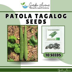 PATOLA TAGALOG SEEDS (10 SEEDS) PRIMERA VARIETY/HIGH YIELDING/MORE PROFIT/EASY TO GROW