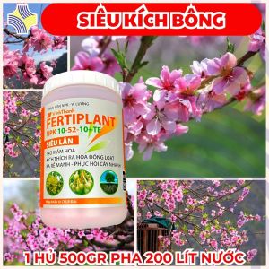 FERTIPLANT 10-52-10+TE SIÊU LÂN CHO CÂY ĐÀO | Kích Mầm Hoa – Ra Hoa Đồng Loạt – Nụ To – Nở Đúng Tết – Nhập Khẩu Đức – 500G