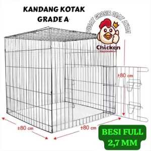 KANDANG GALVANIS/ KURUNGAN AYAM  KOTAK - UNTUK AYAM