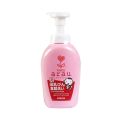 Nước Rửa Bình Arau Baby 500ml Nhật Bản. 