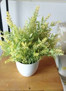 ลาเวนเดอร์มินิ