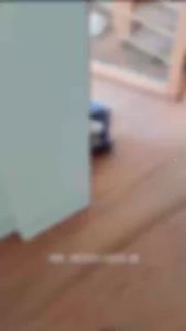 GD Same Style Cat Doll Plush Toy Merchandise ZOA Gas Tank Plush Toy Cat Bag Pendant Doll Gift