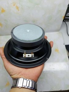 LOA TRUNG 16 Cm từ 80 - Coil 25 - 4 Ohm