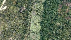 RIVBOS Polarized Sports Sunglasses Driving Sunglasses Shades for Men Women Tr90 Frame for Cycling Fishing Running RB831