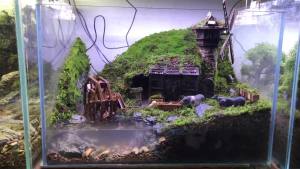 Water and Land Tank Super White Fish Tank Desktop Transparent Integrated Gold Crystal Super White Ecological Fish Tank Landscape Fish Tank Water and Land Amphibious Tank