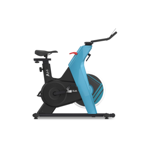 Xe đạp tập Shua mã SH-B599 | Lazada.vn