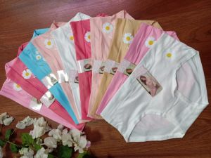 10 quần lót nữ cotton cao cấp