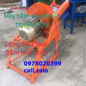 Máy băm chuối nhỏ  mịn sử dụng động cơ toàn phát 2 ngựa