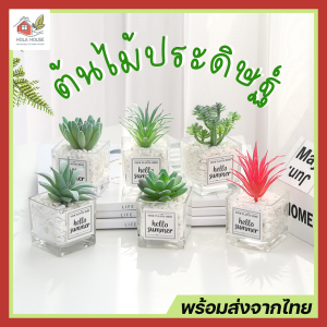 พร้อมส่ง ต้นไม้ปลอม พร้อมกระถางแก้ว กุหลาบหินปลอม ตะบองเพชรปลอม กระบองเพชรปลอม ต้นไม้ประดิษฐ์