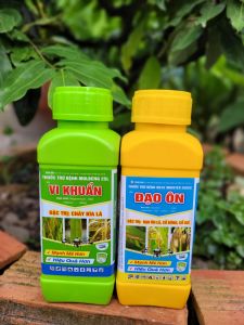 [VTNN TIEN KHOA] Phòng trừ đạo ôn cháy bìa lá lúa cặp ĐẠO ÔN - VI KHUẨN 350ml hiệu quả cao