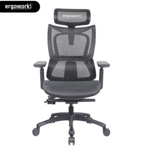 Ergoworks Chair – Truly Perfect Chair | Ergonomic Office Chair