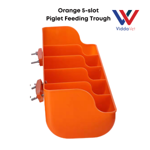 Viddavet Plastic Piglet Feeder 5 holes Plastic Nursery Pig Feeder 5 holes pig feeder stainless steel pig feeder