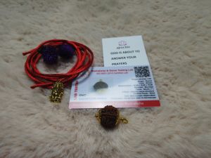 Original Rudraksha 7 Mukhi(7 Faces/ 7 Mugam)Rudraksha Bead With Lab Certificate (RARE)