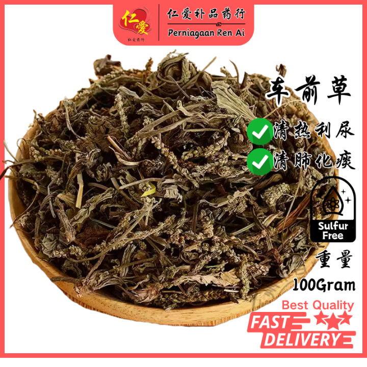 [仁爱] 车前草 | Plantain | Pisang pisang【100Gram】 | Lazada