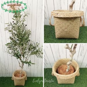 Pohon Hias Tanaman Artificial  Zaitun Olive X3 T140 & T180 Latex Cover Anyaman Purun Handle Dekorasi Ruang Tamu