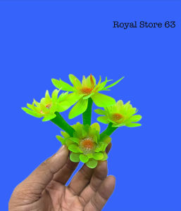 Rong Hải Quỳ Dạ Quang Trang Trí Bể Cá Cảnh Thủy Sinh (Cao 8cm) Màu Mẫu Ngẫu Nhiên