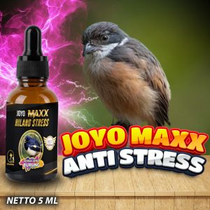 VITAMIN  STRESS | VITAMIN GEJALA STRES | BURUNG NGERUJI |  BURUNG| MAXX ANTI STRESS 5 ML
