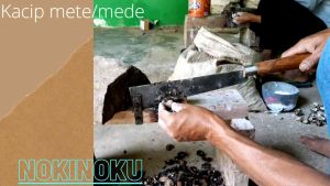 Alat Pengupas Mete Mede Kacip Mete Mede PREMIUM