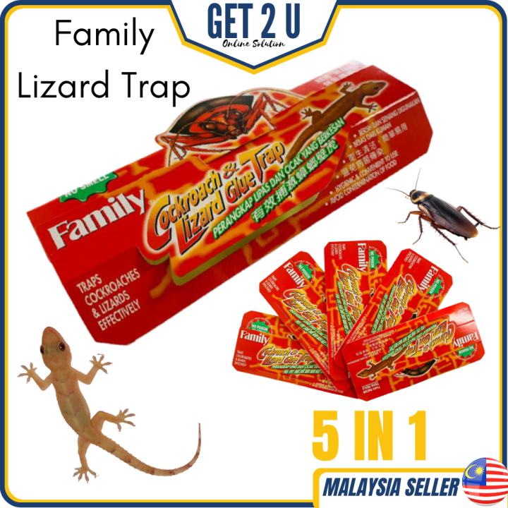 Family Lizard Glue Trap Cockroach Trap Roach Bait Gam Perangkap