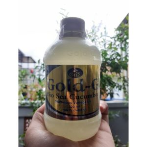 Obat Maag Kronis Obat Asam Lambung Tinggi Obat Infeksi Lambung Gold G Bio Sea Cucumber ORIGINAL
