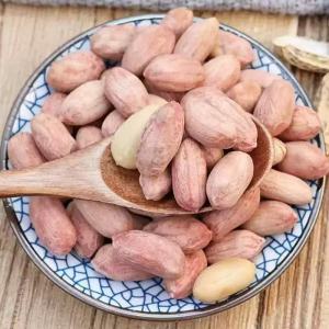 ✨ Roasted Peanuts Snack / Five-Spice Flavor / Herbal Blend / Party Treat / Healthy Oil-Free Roasted Peanuts (with Five-Spice Flavor Astragalus Codonopsis)