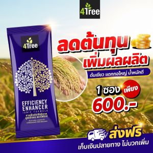 4Tree โฟร์ทรี สารเพิ่มประสิทธิภาพการเจริญเติบโตพืช ปุ๋ยทางใบ ลดต้นทุน เพิ่มผลผลิต 4T โฟที โฟรที 4ทรี ของแท้100%