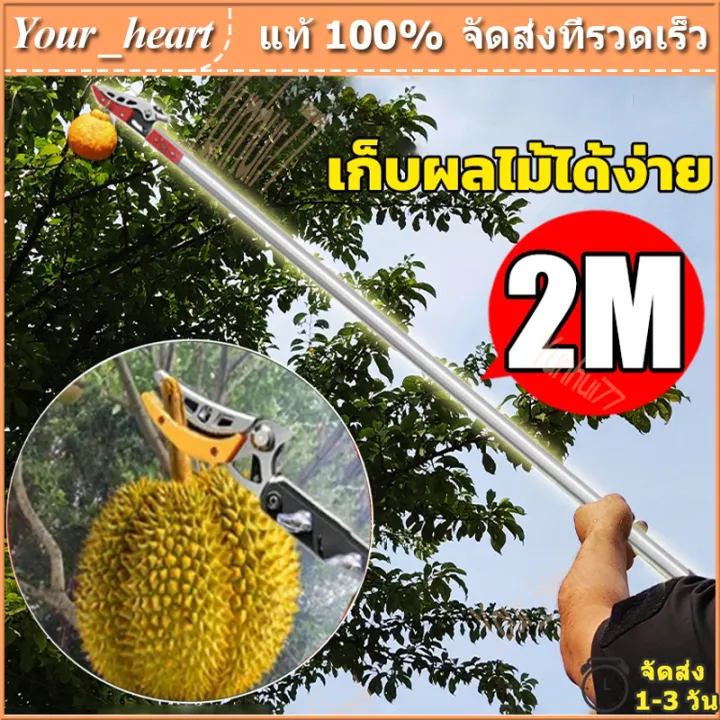 LAB กรรไกรตัดและหนีบผลไม้ 2 เมตร สำหรับตัดกิ่งและเก็บผลไม้