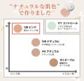 Naturactor Cover Face Concealer Foundation 20g No. 171 Long Lasting and Great Coverage. 